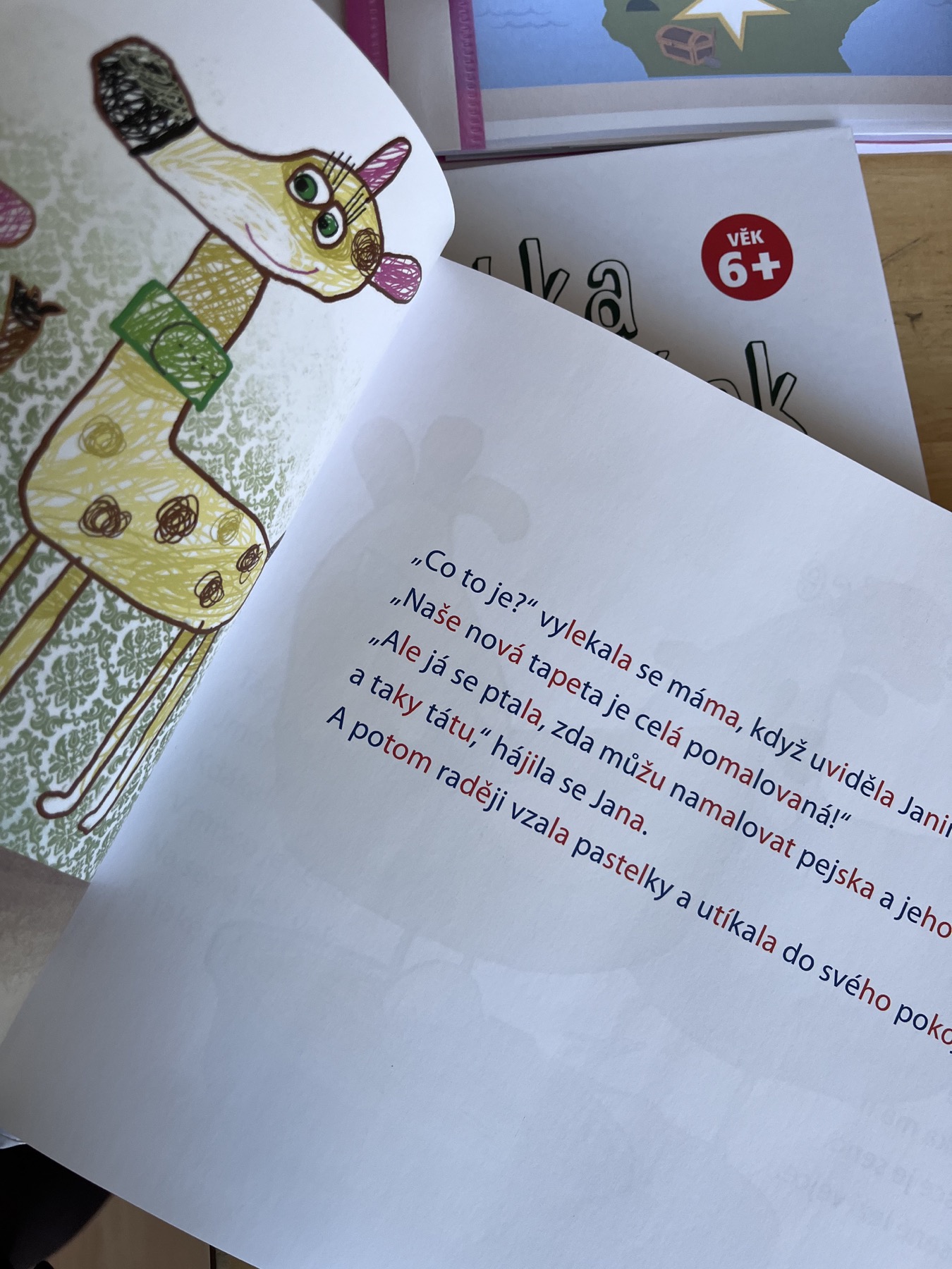 Praktická ukázka speciálně pedagogické práce